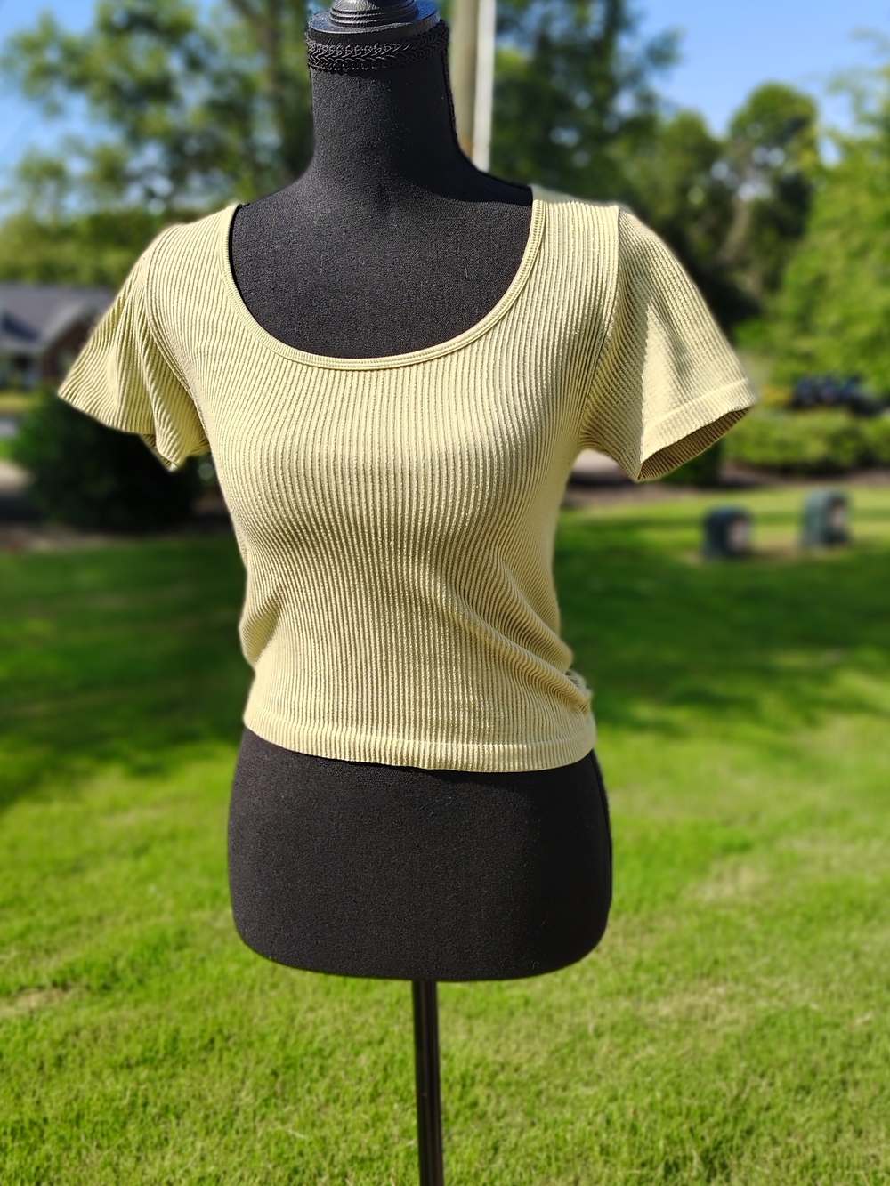 Ribbed Scoop Neck Crop Top - Light Green